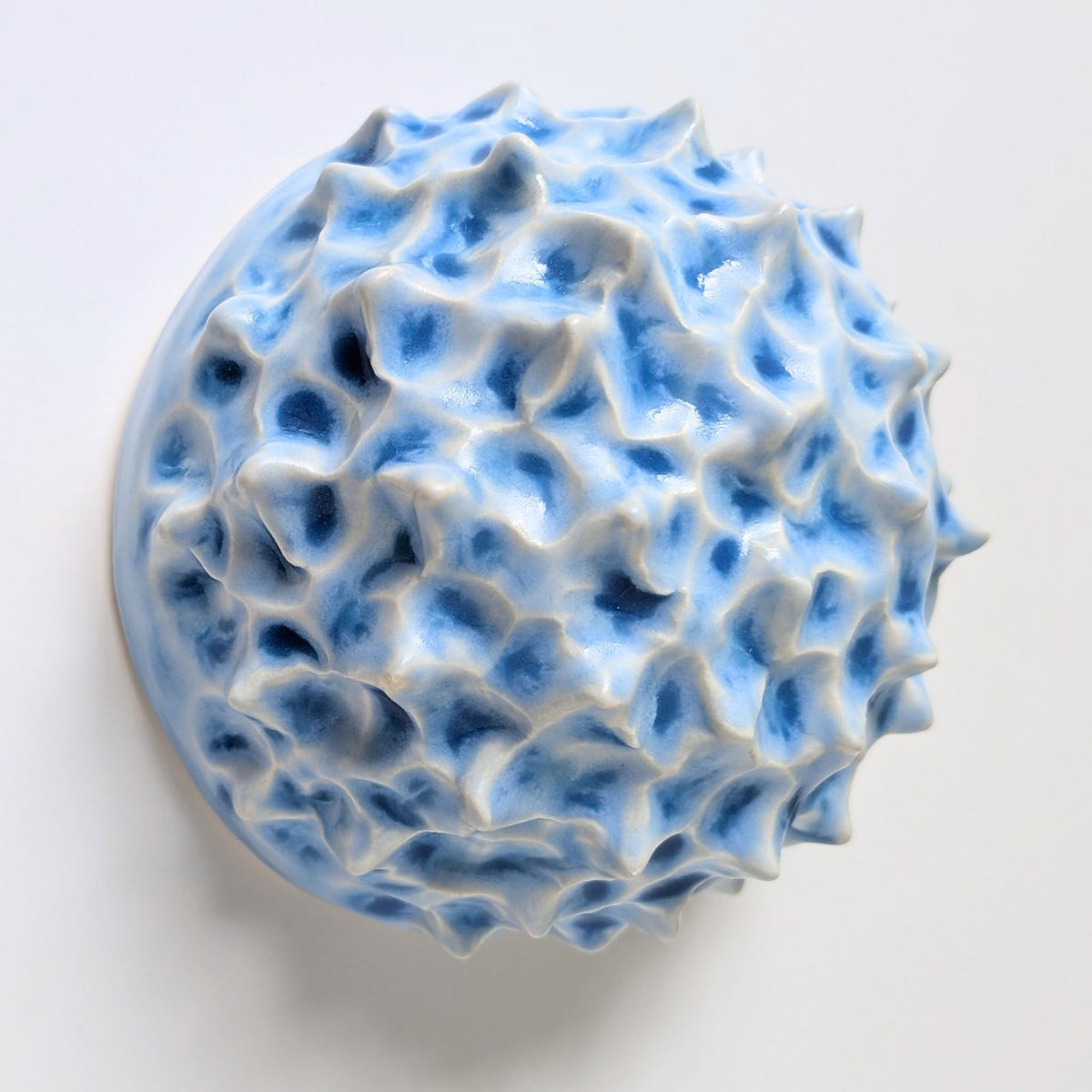 Sea Urchin | Ocean blue |  Ceramic Wall Sculpture