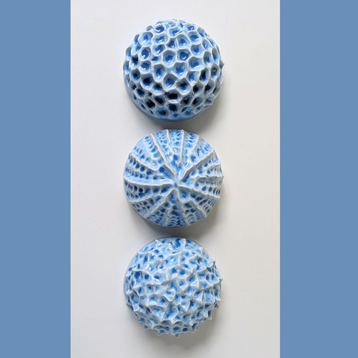 Sea Urchin | Ocean blue |  Ceramic Wall Sculpture