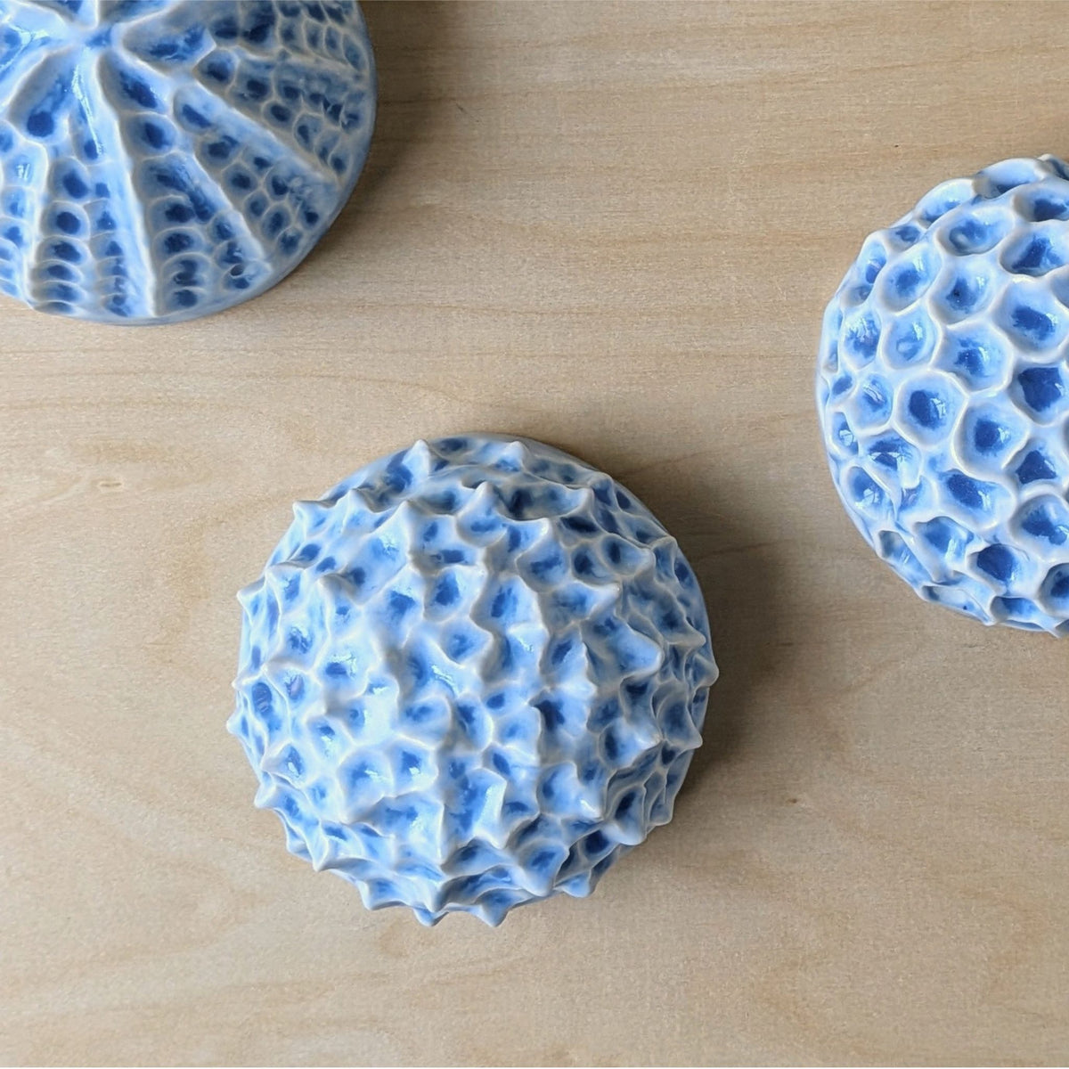 Sea Urchin | Ocean blue |  Ceramic Wall Sculpture