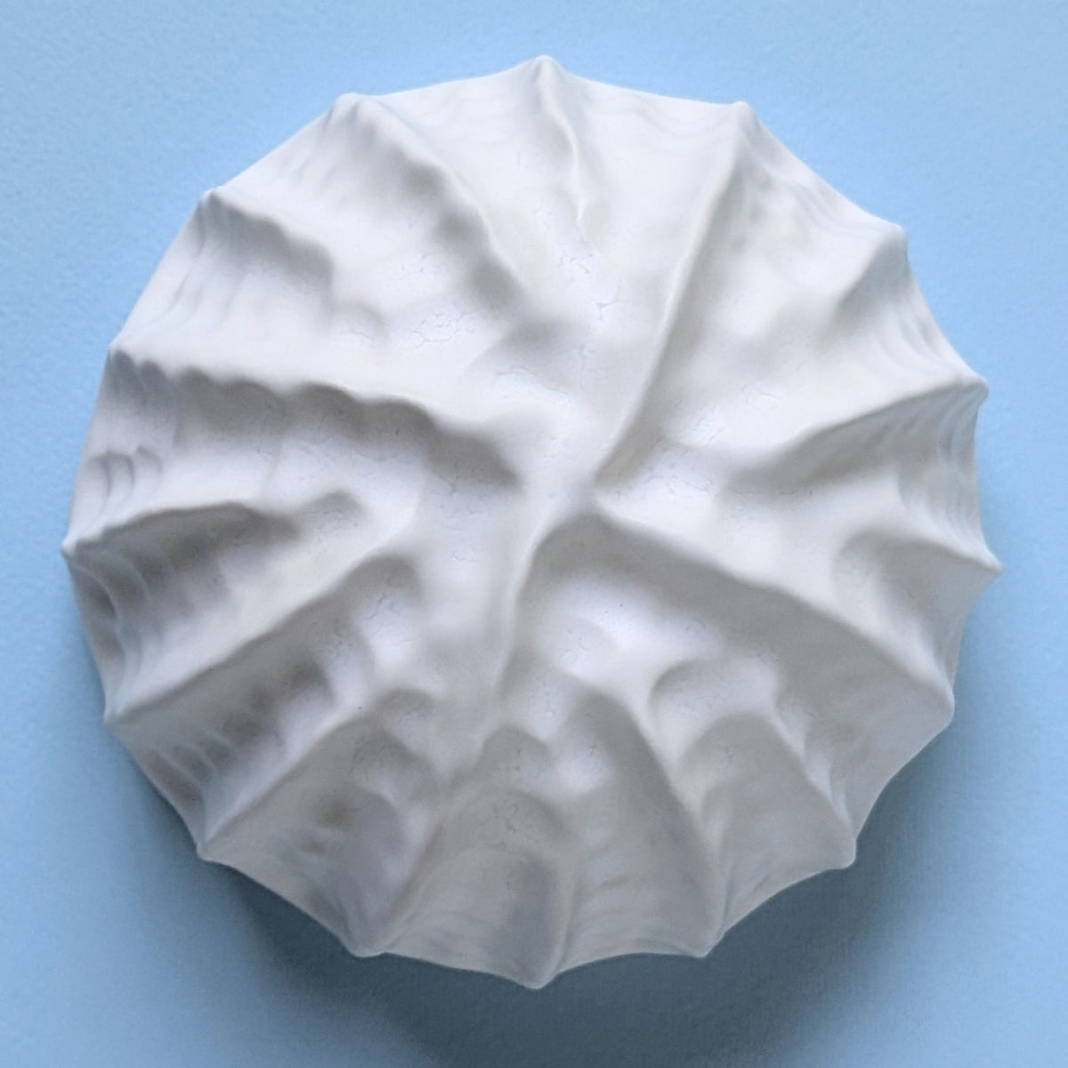 Sea shell |White sand  | Porcelain Wall Sculpture