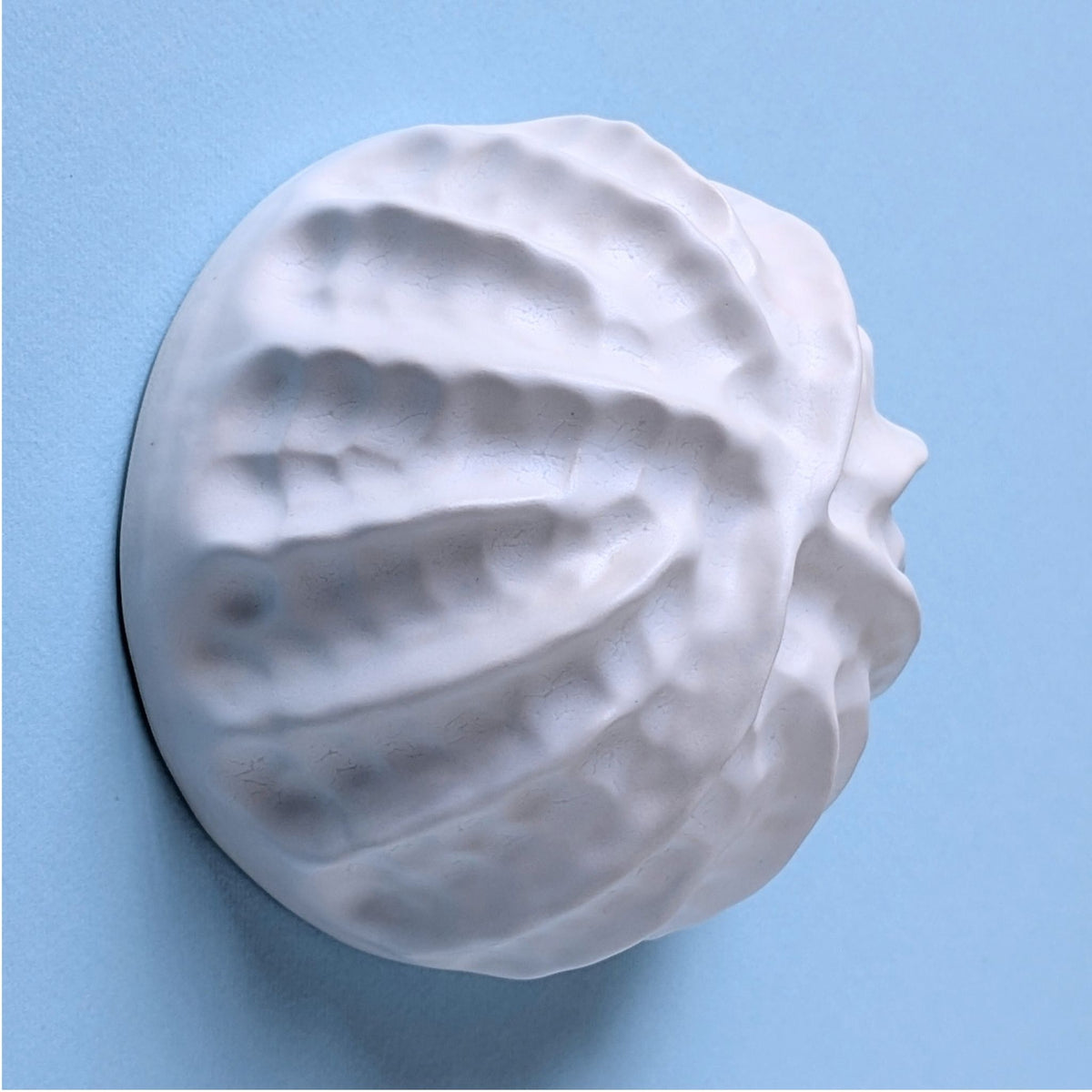 Sea shell |White sand  | Porcelain Wall Sculpture