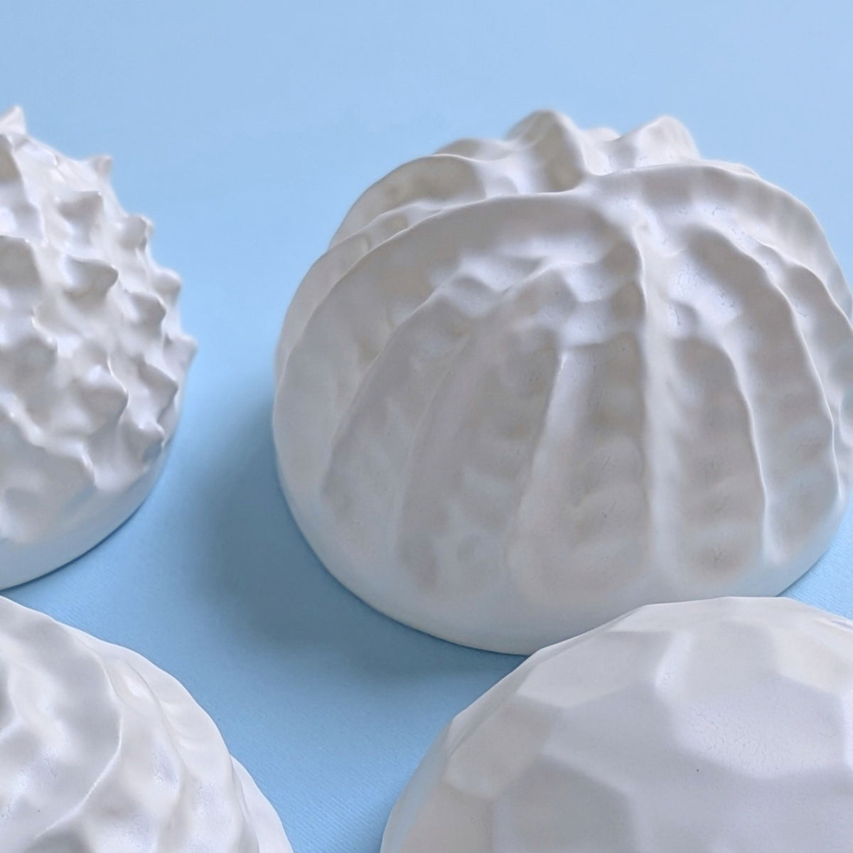 Sea shell |White sand  | Porcelain Wall Sculpture