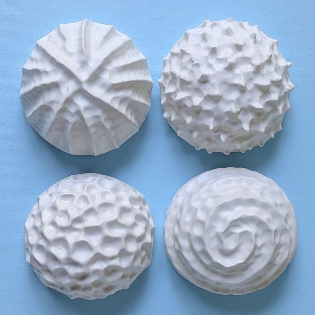 Sea shell |White sand  | Porcelain Wall Sculpture