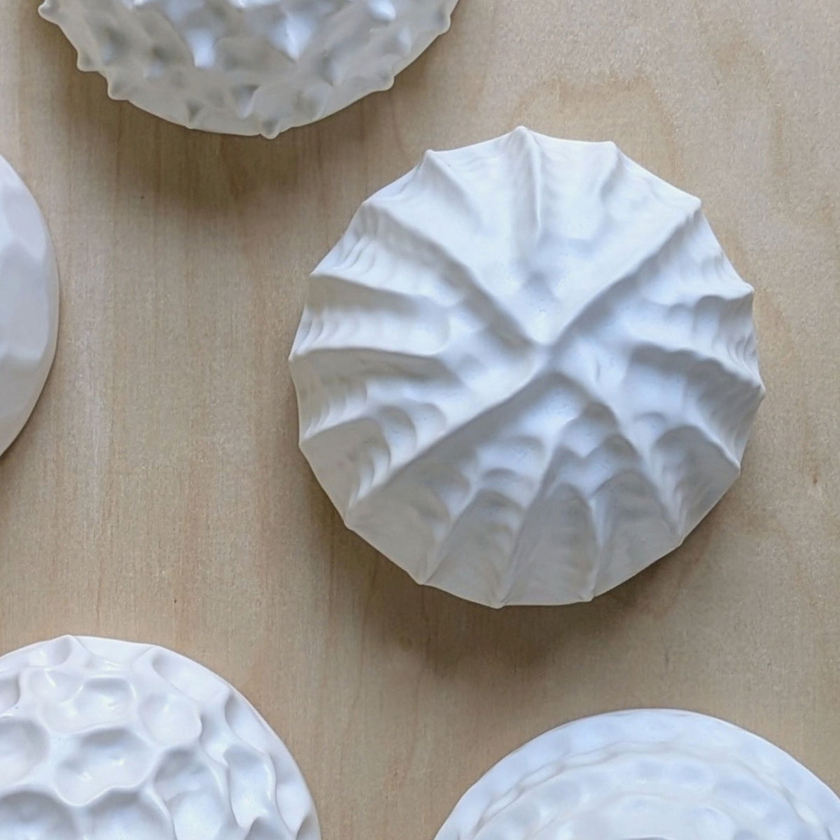 Sea shell |White sand  | Porcelain Wall Sculpture