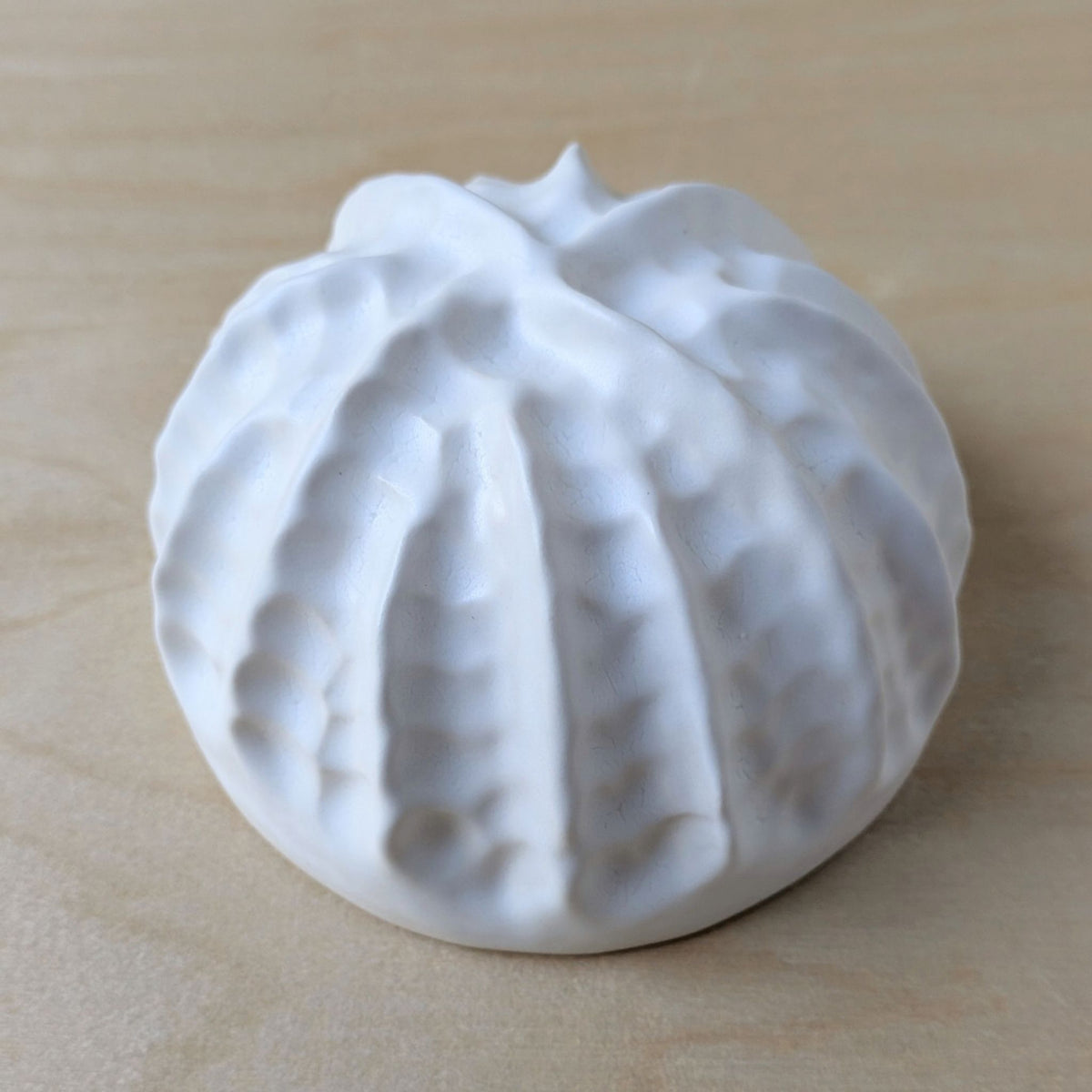 Sea shell |White sand  | Porcelain Wall Sculpture