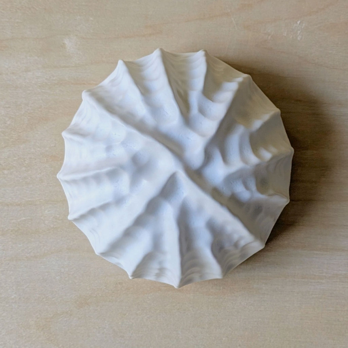 Sea shell |White sand  | Porcelain Wall Sculpture