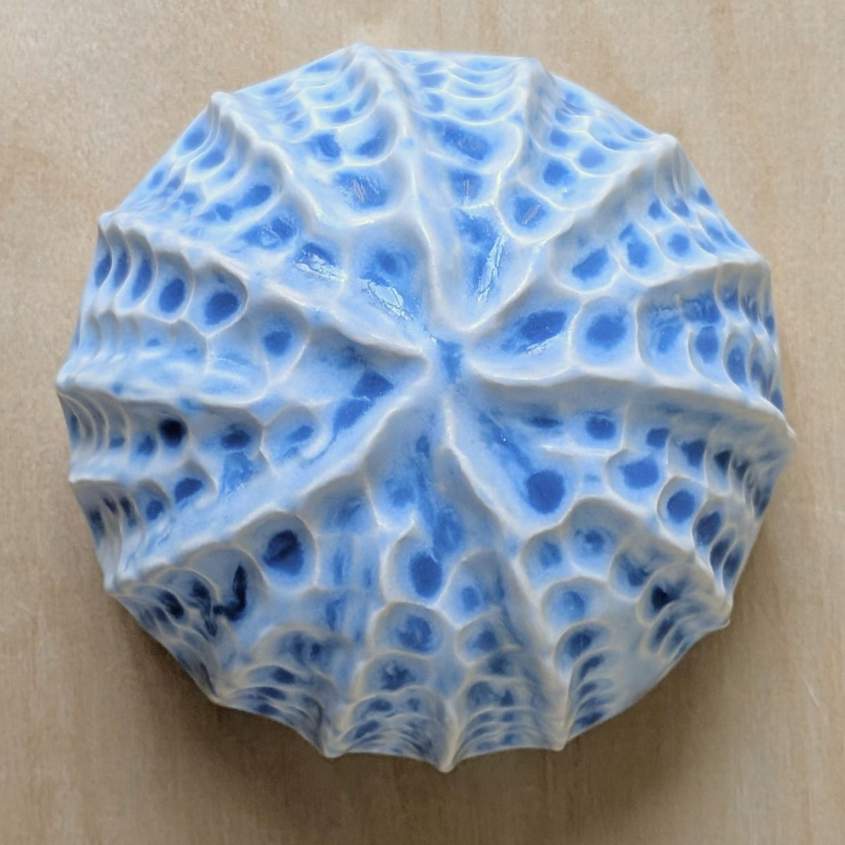 Sea shell |Ocean blue Porcelain Wall Sculpture