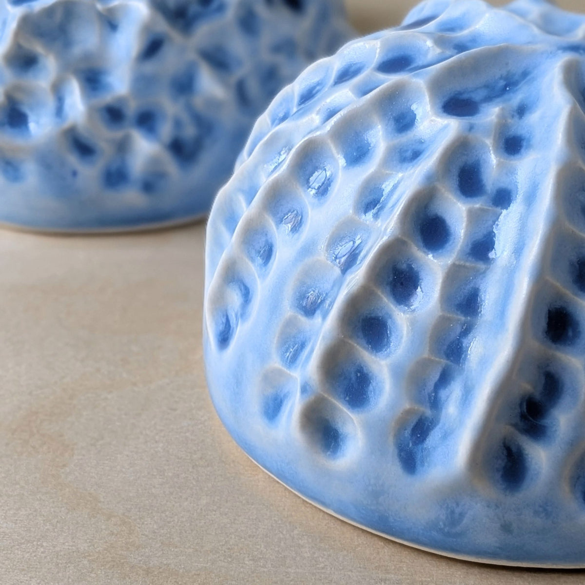 Sea shell |Ocean blue Porcelain Wall Sculpture