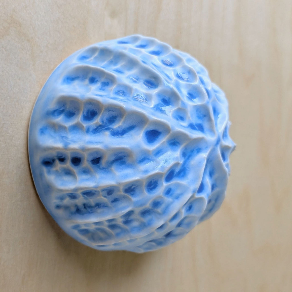 Sea shell |Ocean blue Porcelain Wall Sculpture