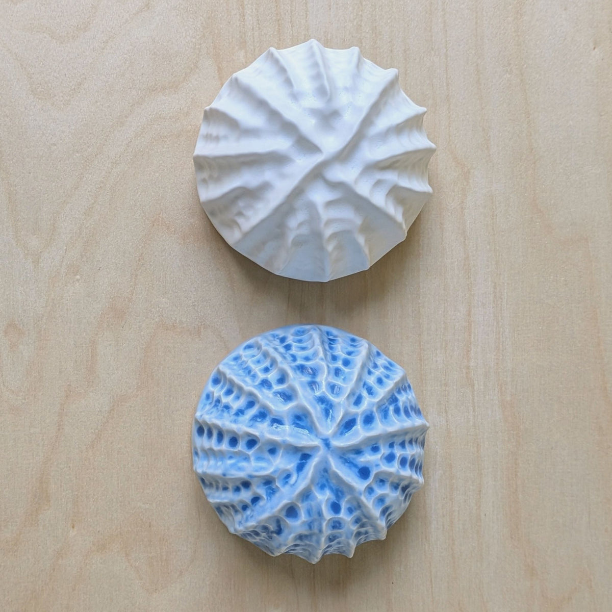 Sea shell |Ocean blue Porcelain Wall Sculpture