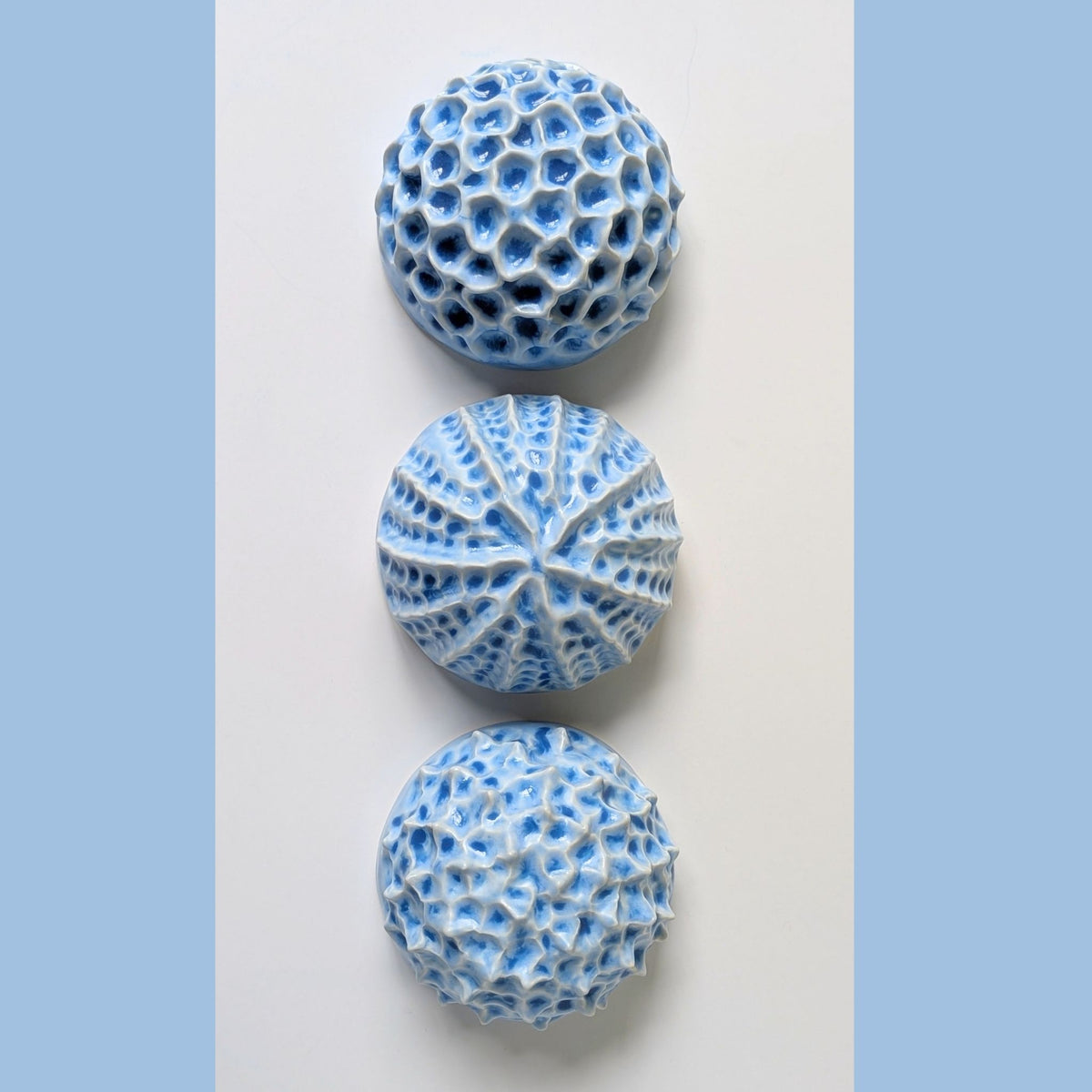 Sea shell |Ocean blue Porcelain Wall Sculpture