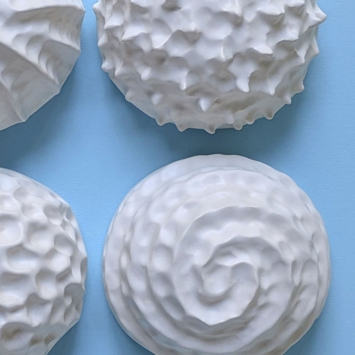 Nautilus shell |White sand | Porcelain Wall Sculpture