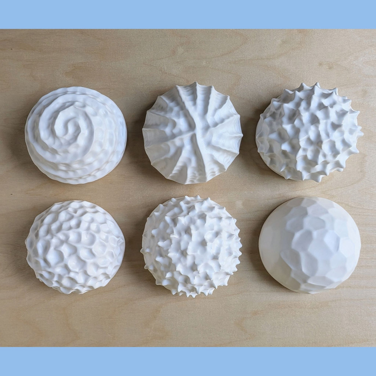 Nautilus shell |White sand | Porcelain Wall Sculpture