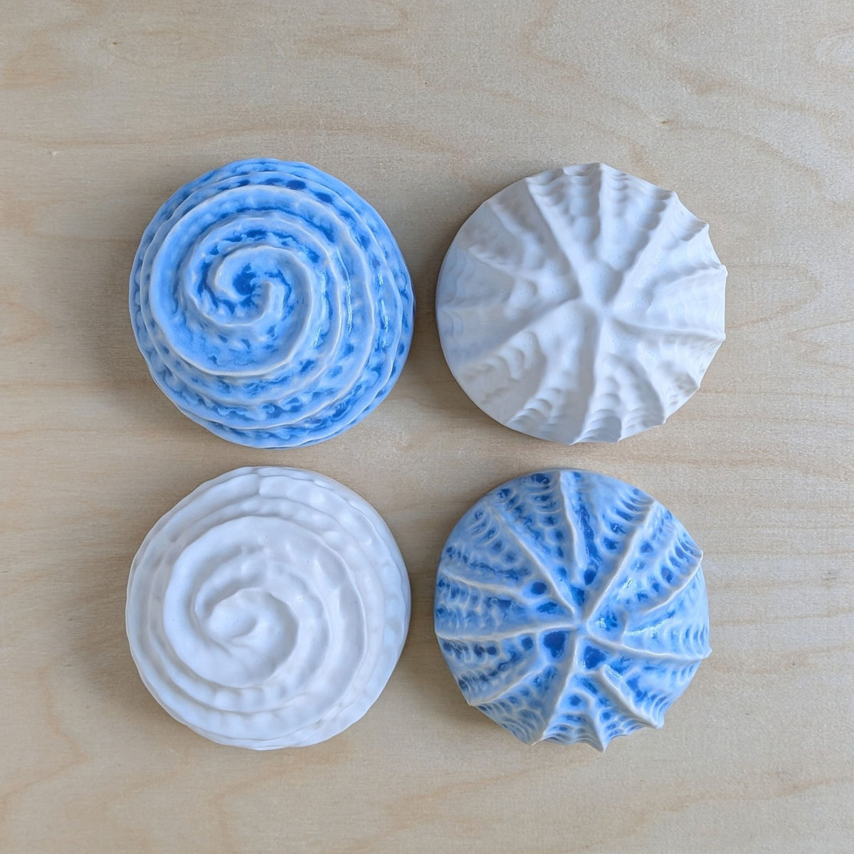 Nautilus shell |Ocean blue|porcelain Wall Sculpture