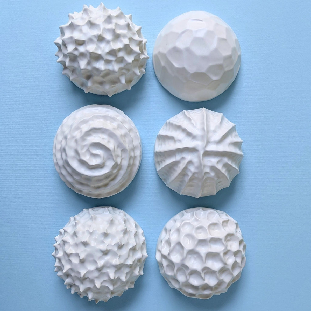 Sea Urchin |White Sand | Ceramic Wall Sculpture
