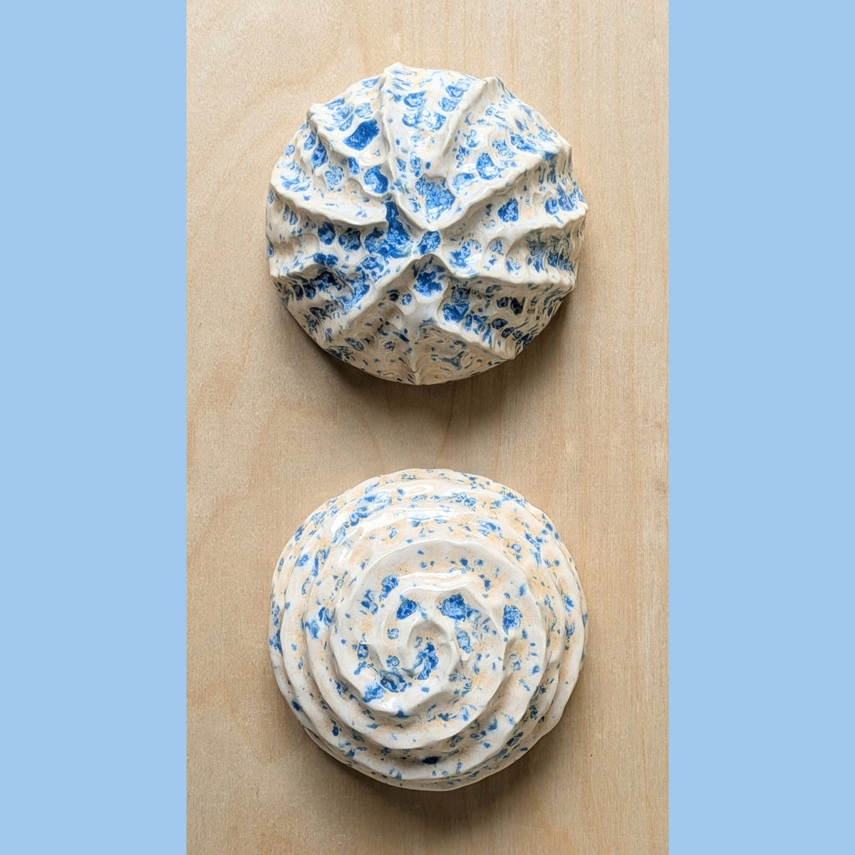 Nautilus shell | Sand and Sea | Porcelain Wall Sculpture