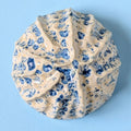Sea shell | Sand and Sea | Ceramic Wall Sculpture