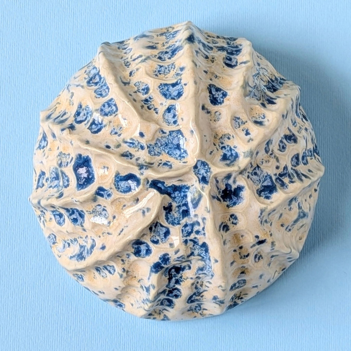 Sea shell | Sand and Sea | Ceramic Wall Sculpture