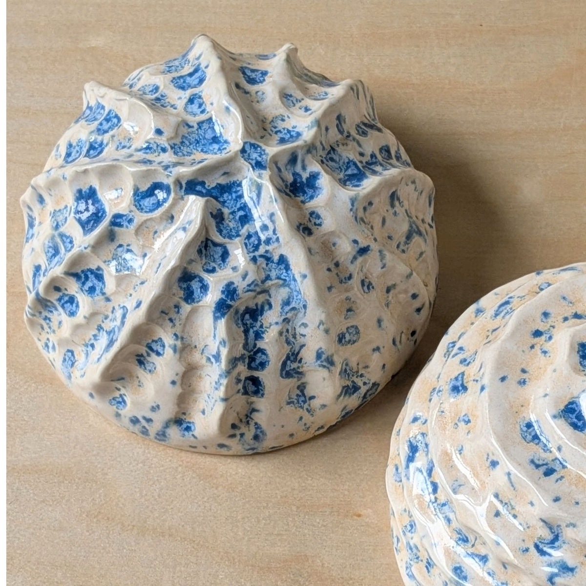 Sea shell | Sand and Sea | Ceramic Wall Sculpture