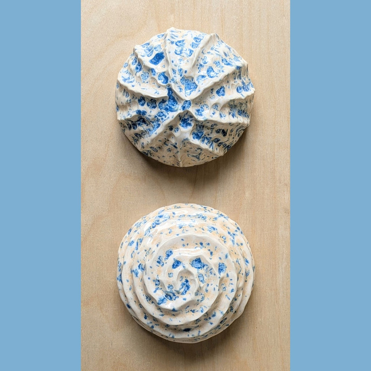 Sea shell | Sand and Sea | Ceramic Wall Sculpture