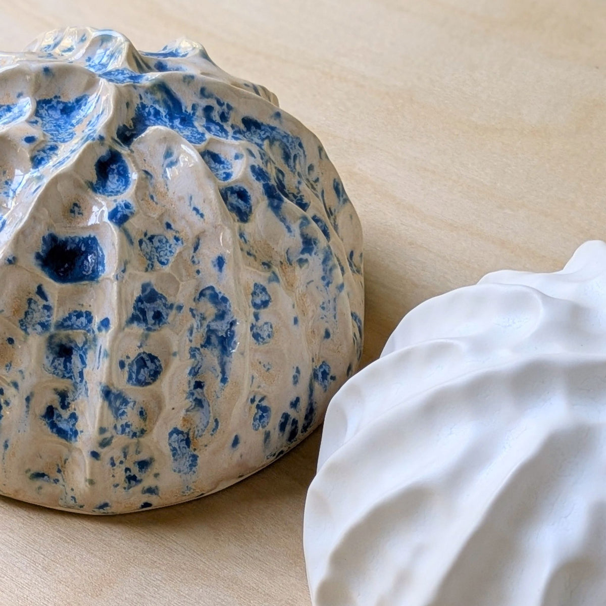 Sea shell | Sand and Sea | Ceramic Wall Sculpture