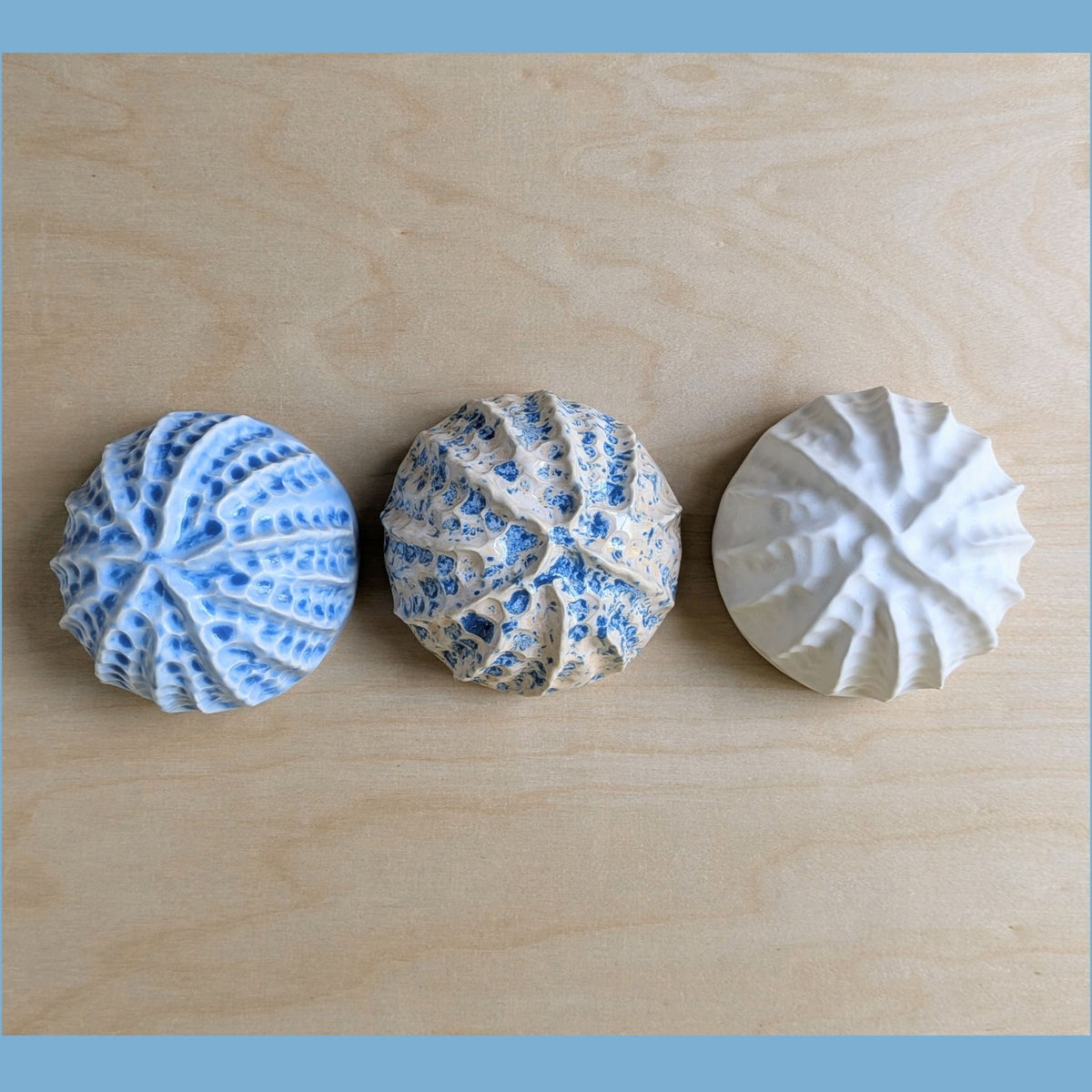 Sea shell | Sand and Sea | Ceramic Wall Sculpture