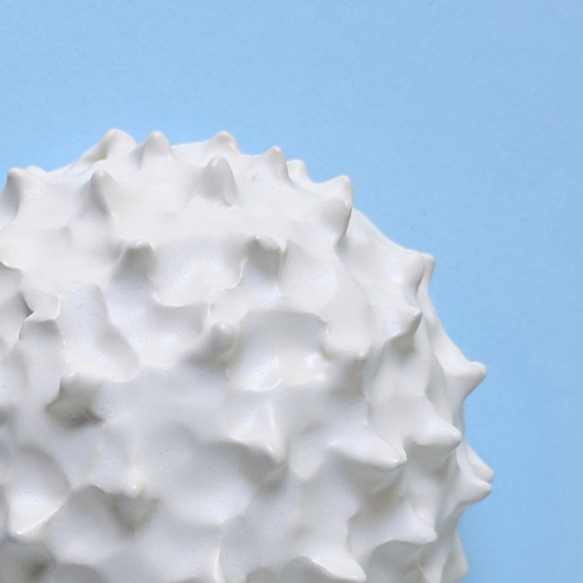 Sea Urchin |White Sand | Ceramic Wall Sculpture