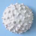 Sea Urchin |White Sand | Ceramic Wall Sculpture