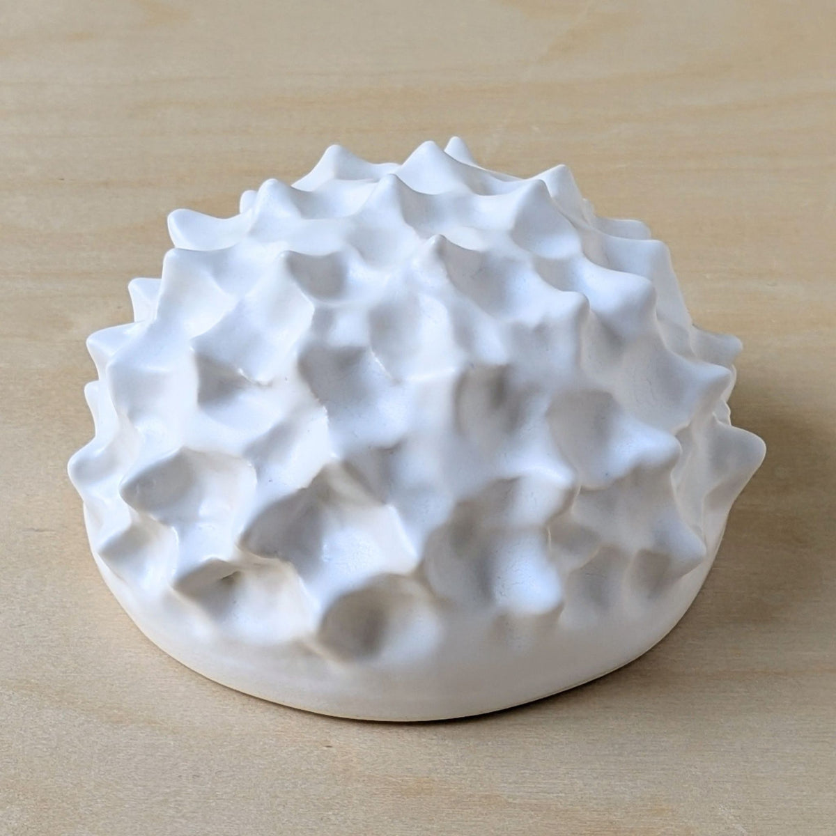 Sea Urchin |White Sand | Ceramic Wall Sculpture