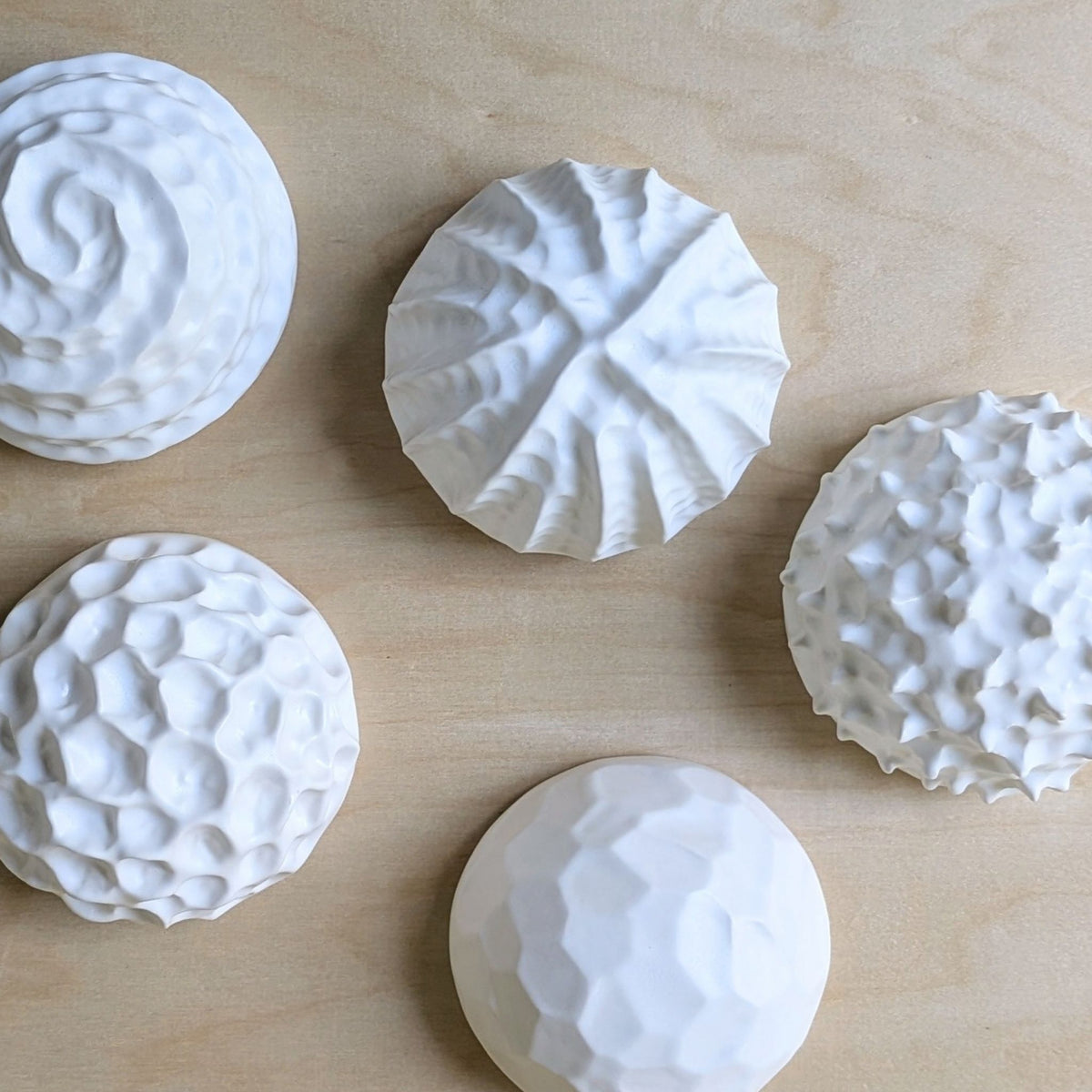 Sea Urchin |White Sand | Ceramic Wall Sculpture