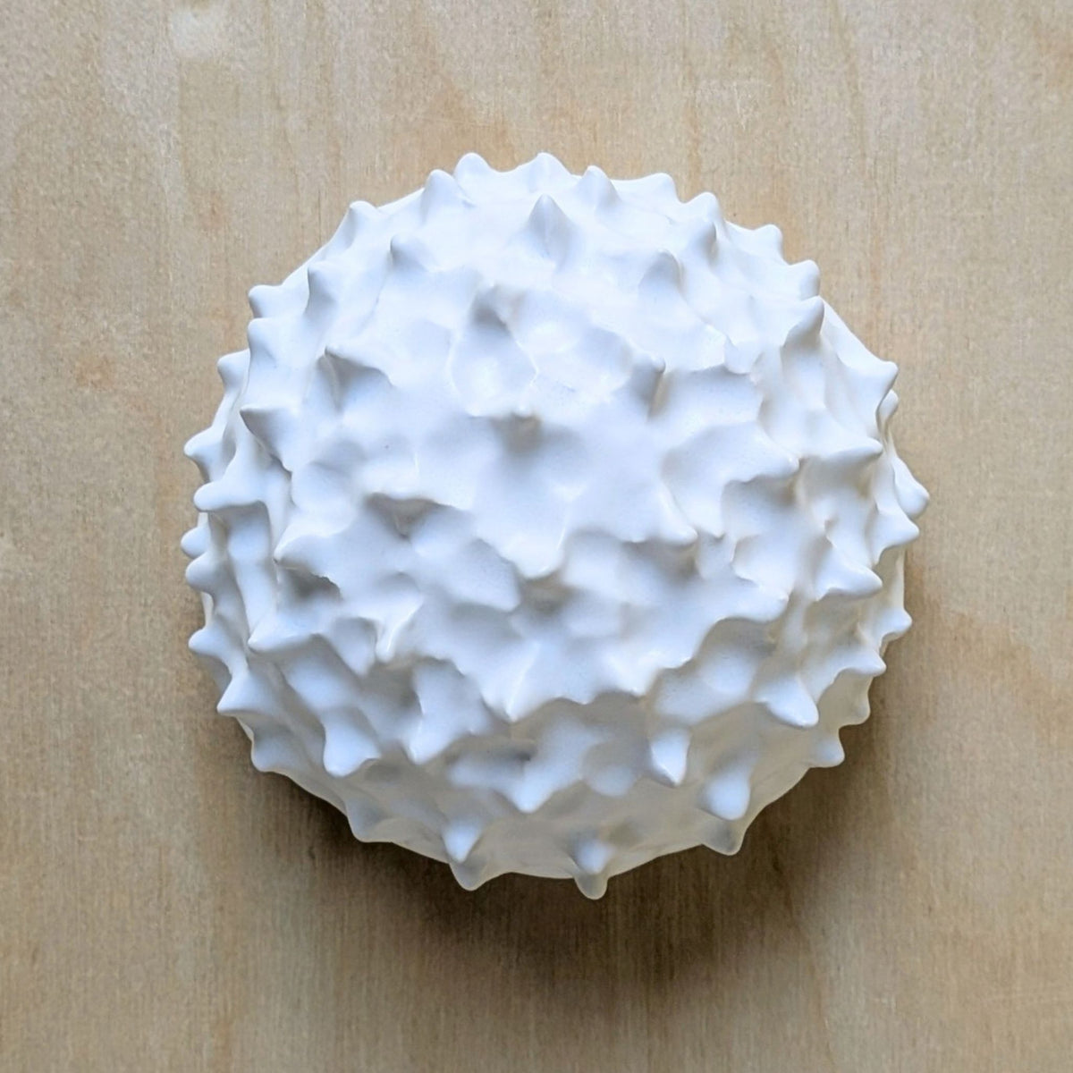 Sea Urchin |White Sand | Ceramic Wall Sculpture