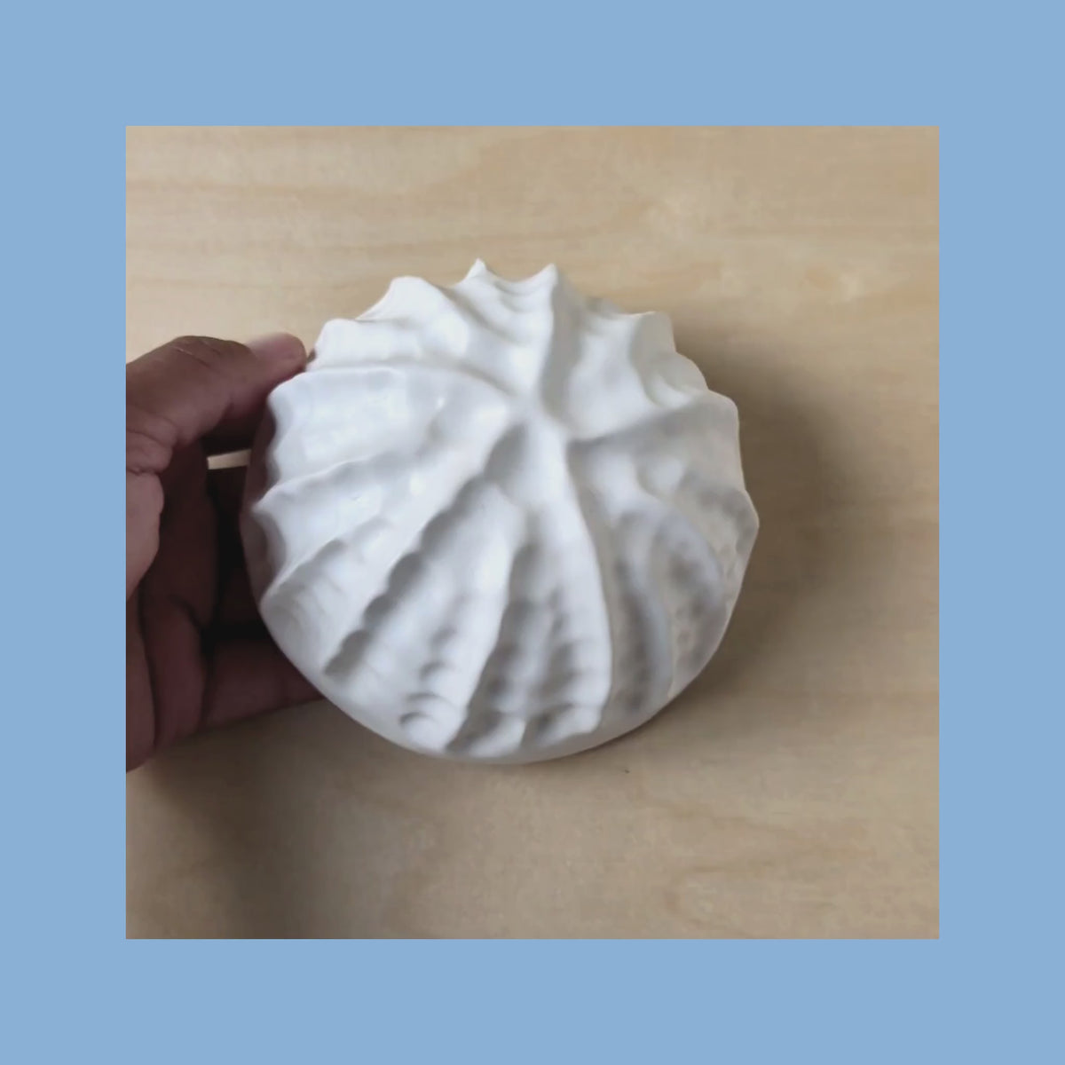 Sea shell |White sand  | Porcelain Wall Sculpture