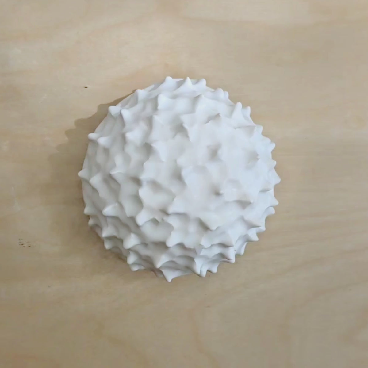Sea Urchin |White Sand | Ceramic Wall Sculpture