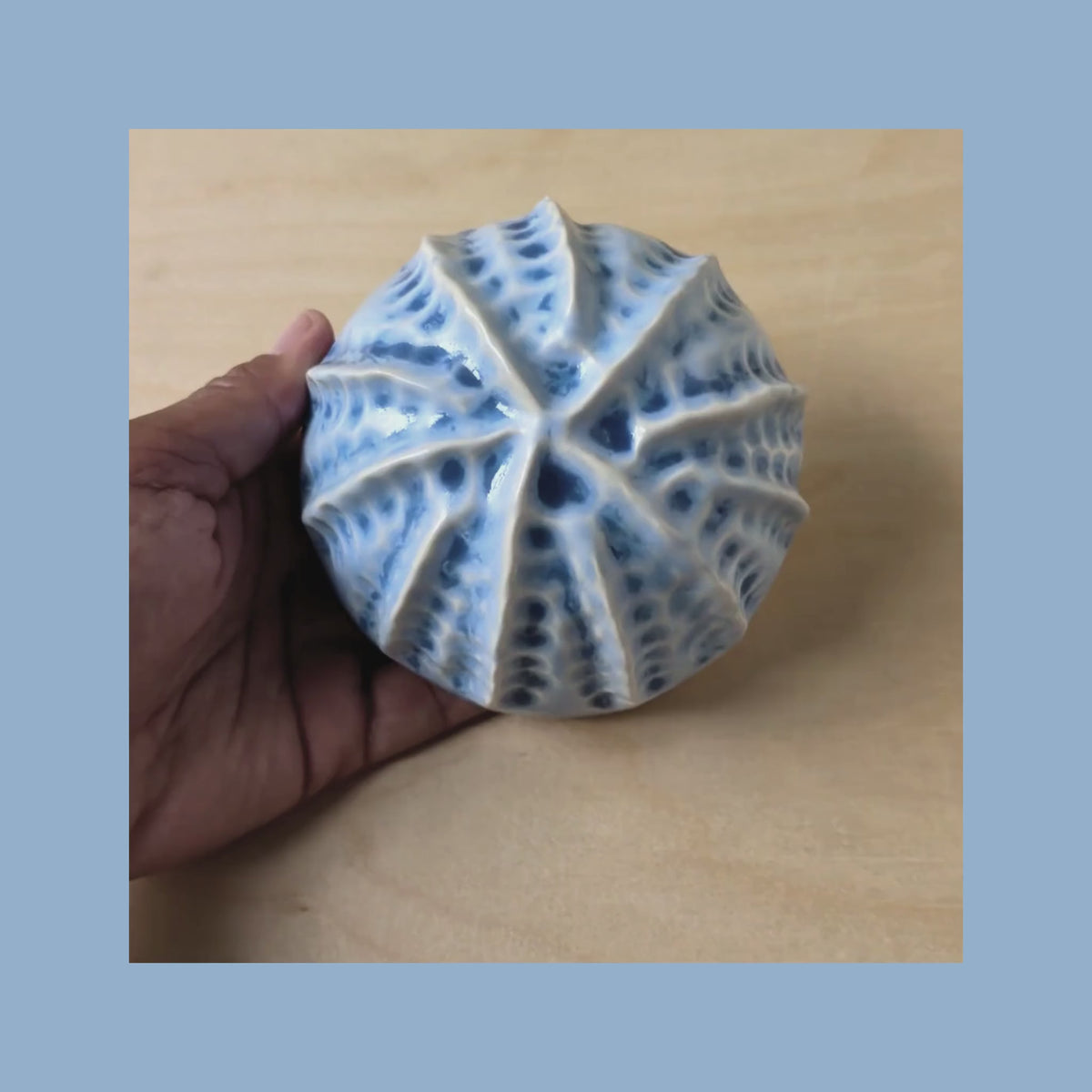Sea shell |Ocean blue Porcelain Wall Sculpture